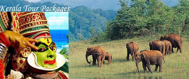 kerala wildlife tour packages