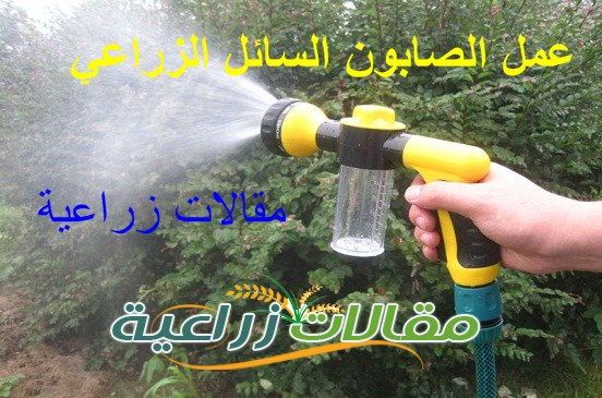 عمل الصابون السائل الزراعى فى المنزل - مقالات زراعية