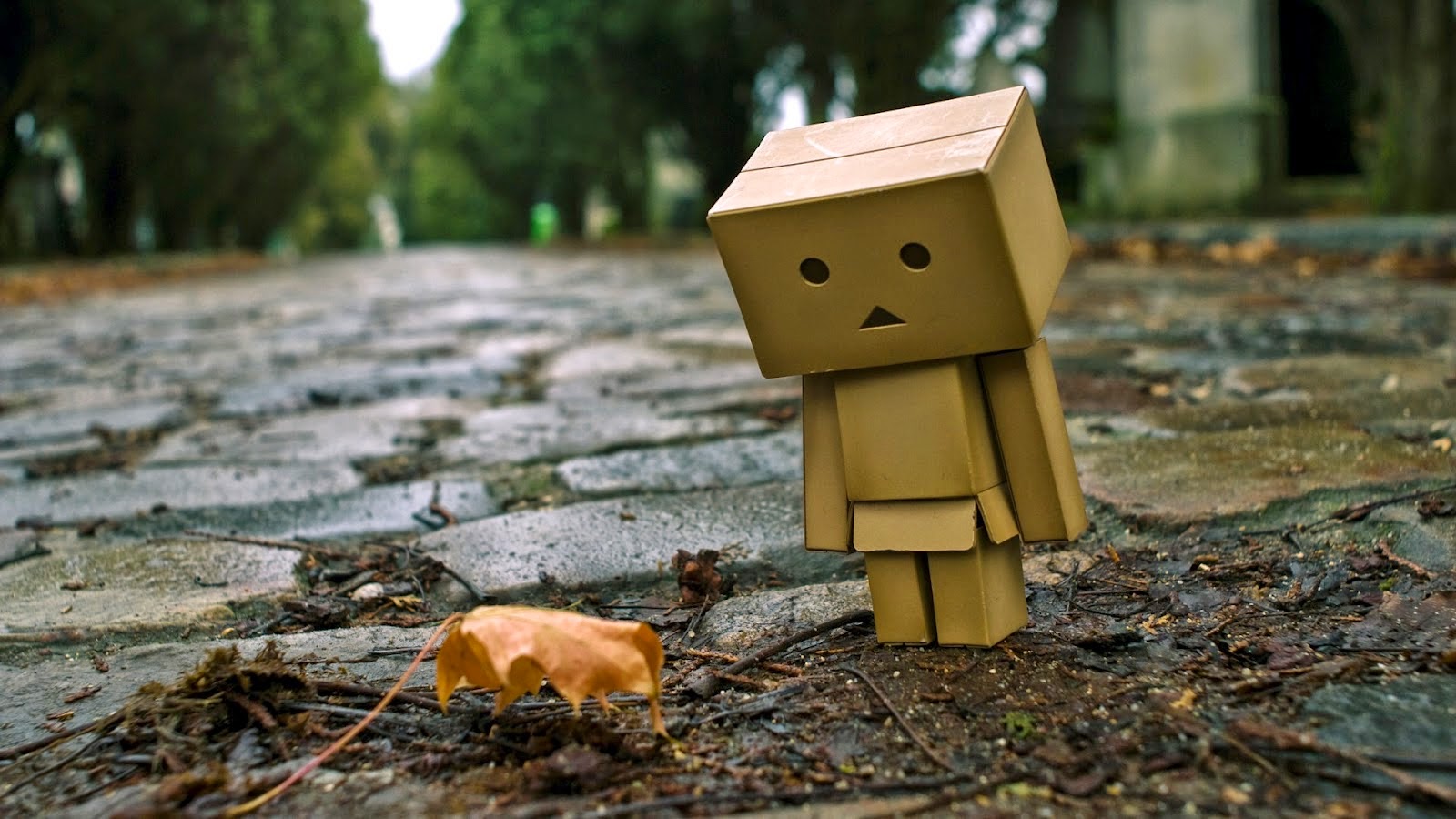  Gambar Boneka Danbo  Sedih Galau Lucu dan Senang 