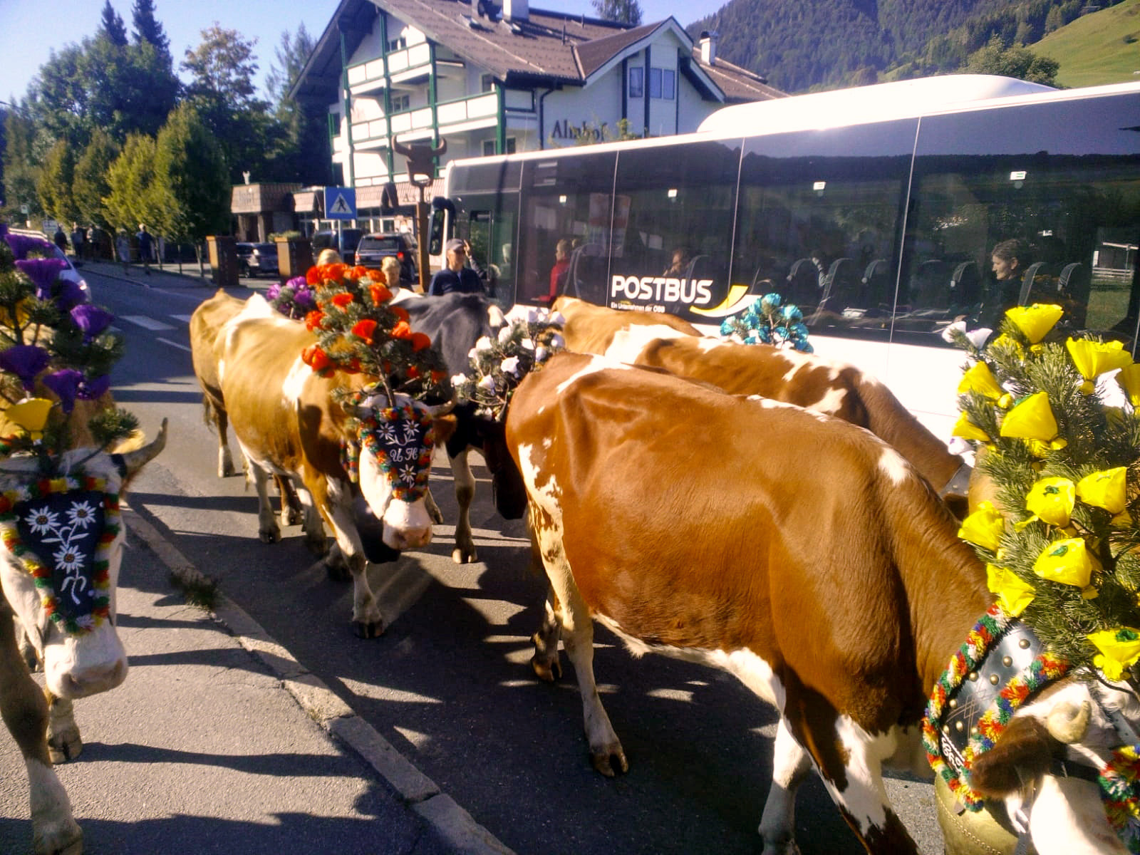 Reiseberichte Mayrhofen Zillertal Im Sommer