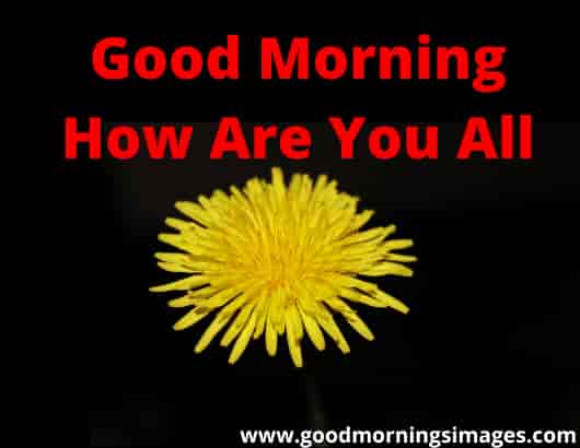 Good Morning Shayri With How Are You Good Morning Shayri With How Are You