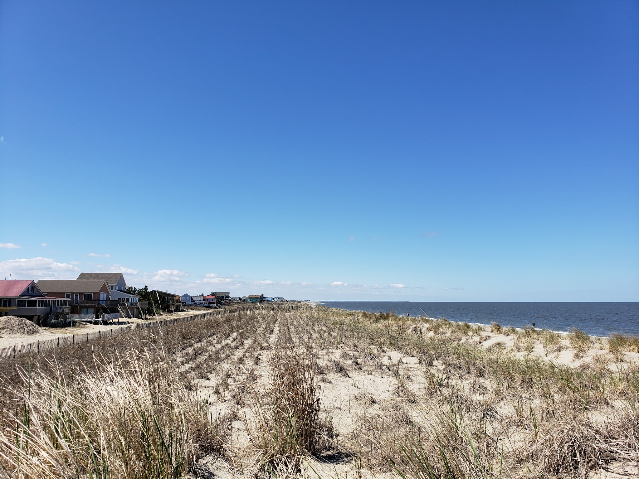 Broadkill Beach Using Dunes to Save This Stretch of the Delaware Bay