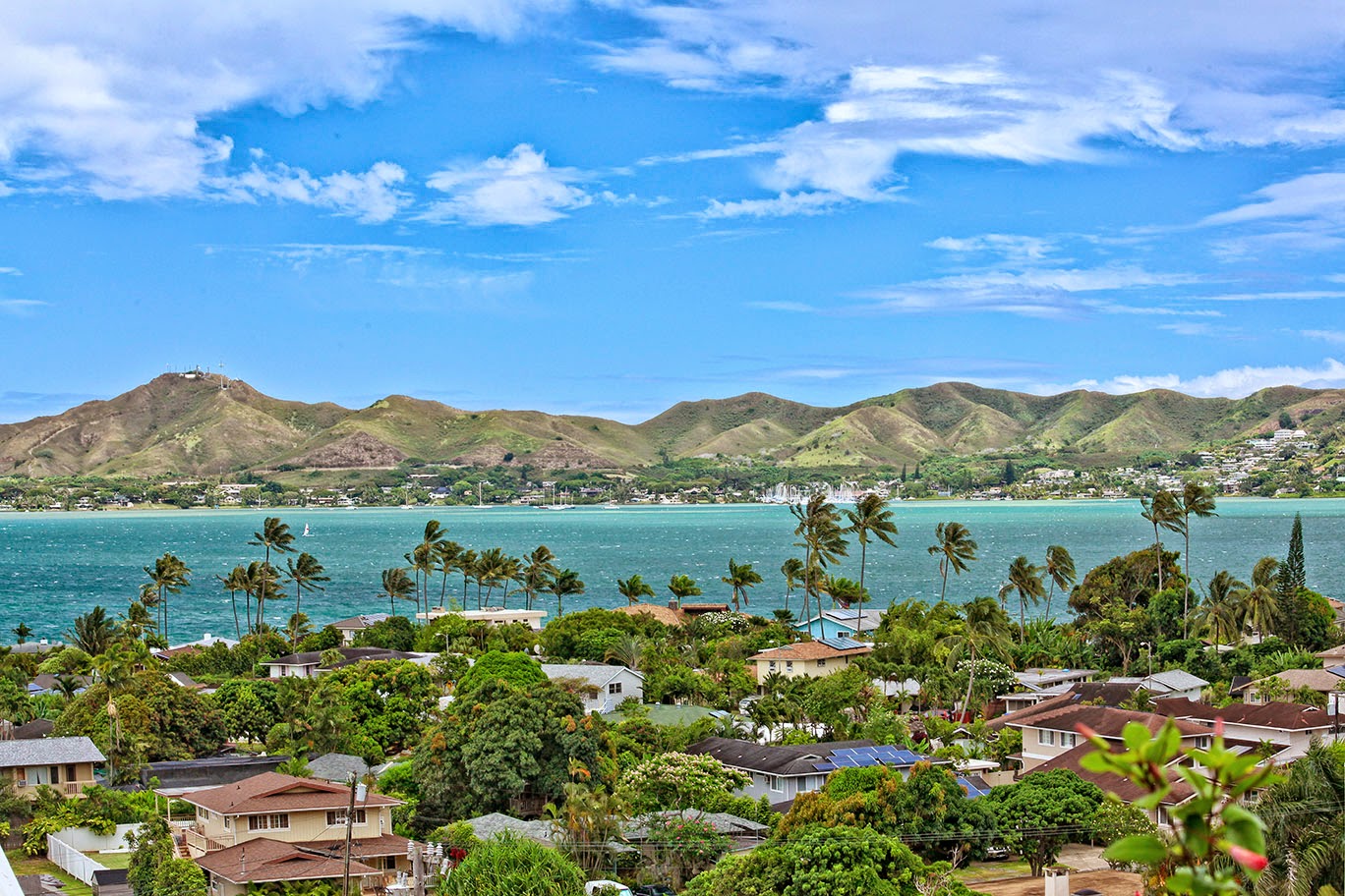 Small Things Bright and Beautiful The Best Staging Prop a Kaneohe Bay