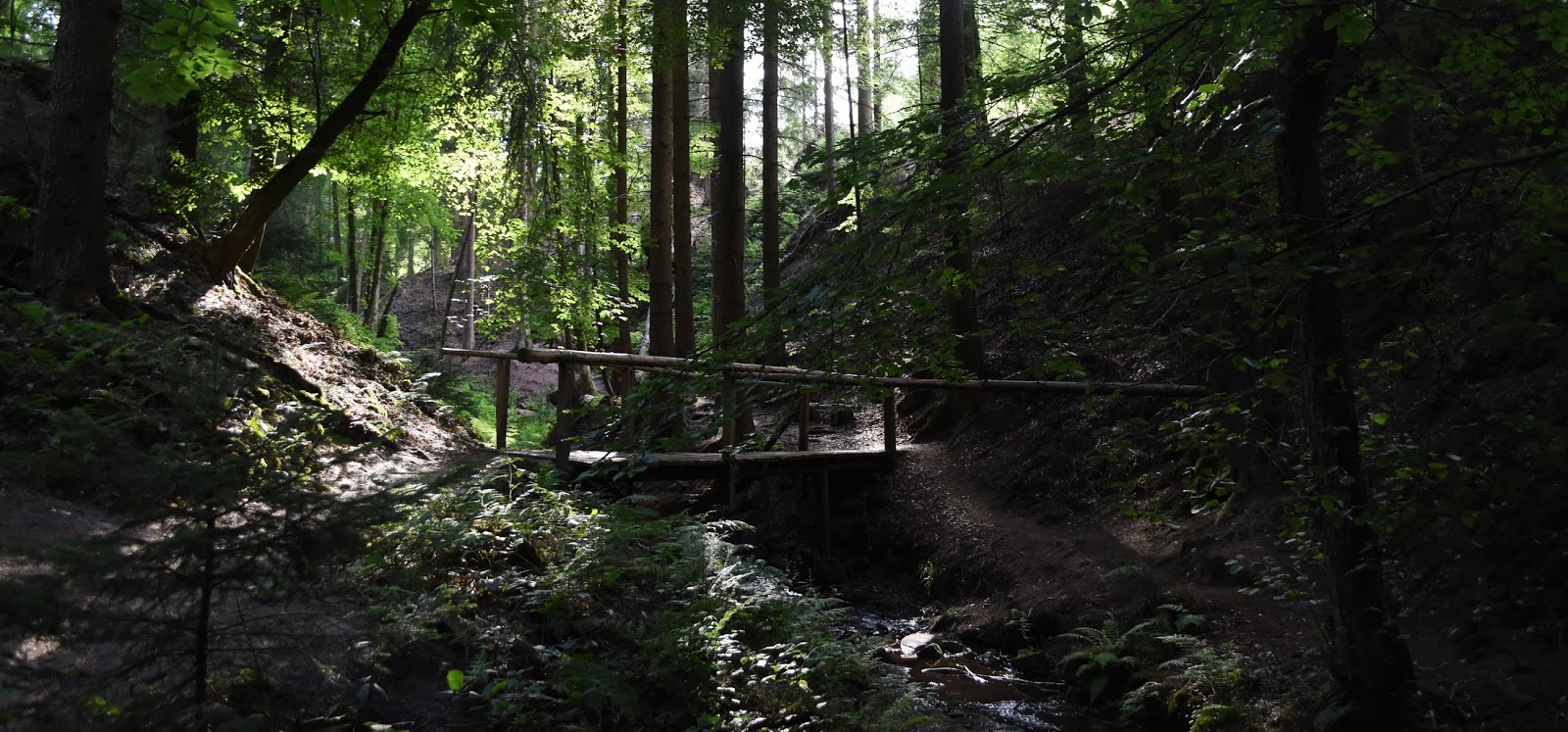 Ökologischer Wanderpfad Lochbachklamm / Knüllwald