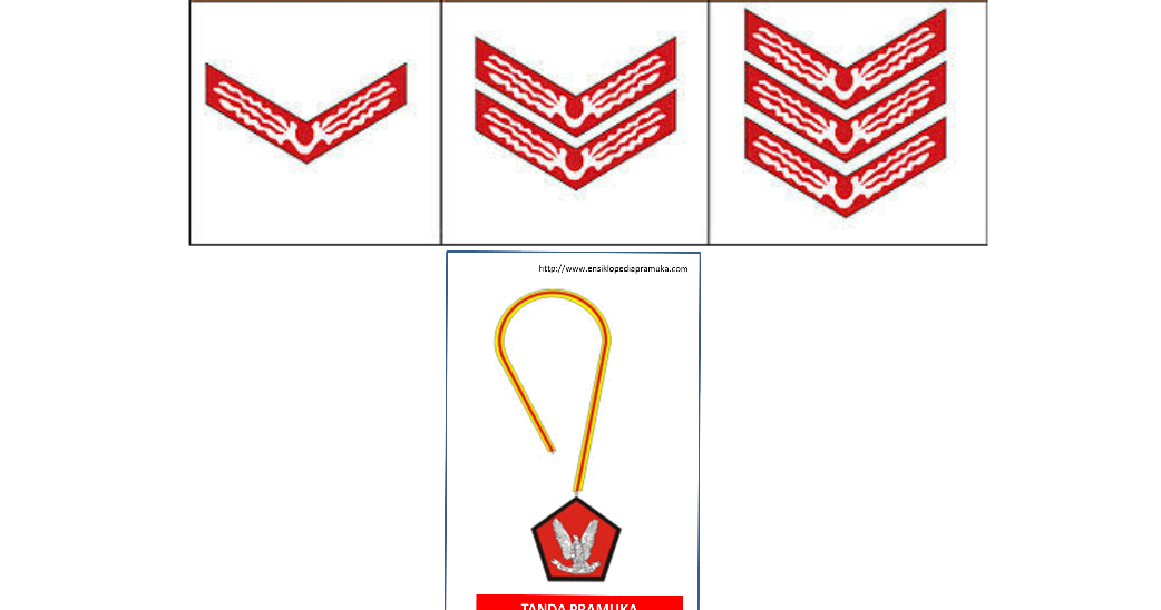 Pengertian Pramuka Penggalang Serta Tugasnya Pm16bjm