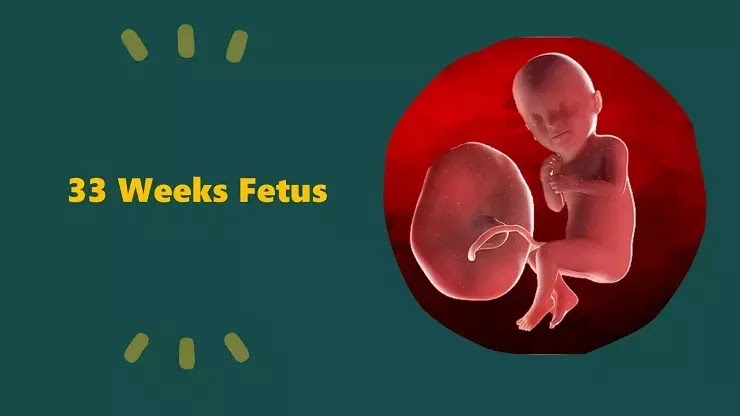 33 weeks fetus growth In Hindi,27-40 सप्ताह की गर्भावस्था