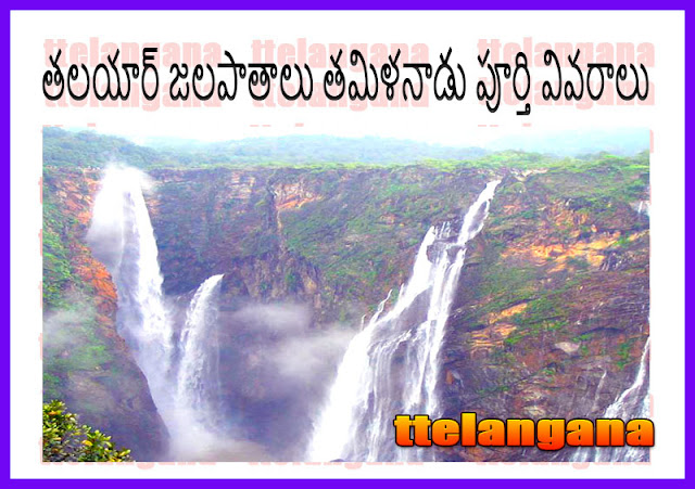 తమిళనాడు తలైయార్ జలపాతం పూర్తి వివరాలు,Full Details of Tamil Nadu Thalaiyar Falls