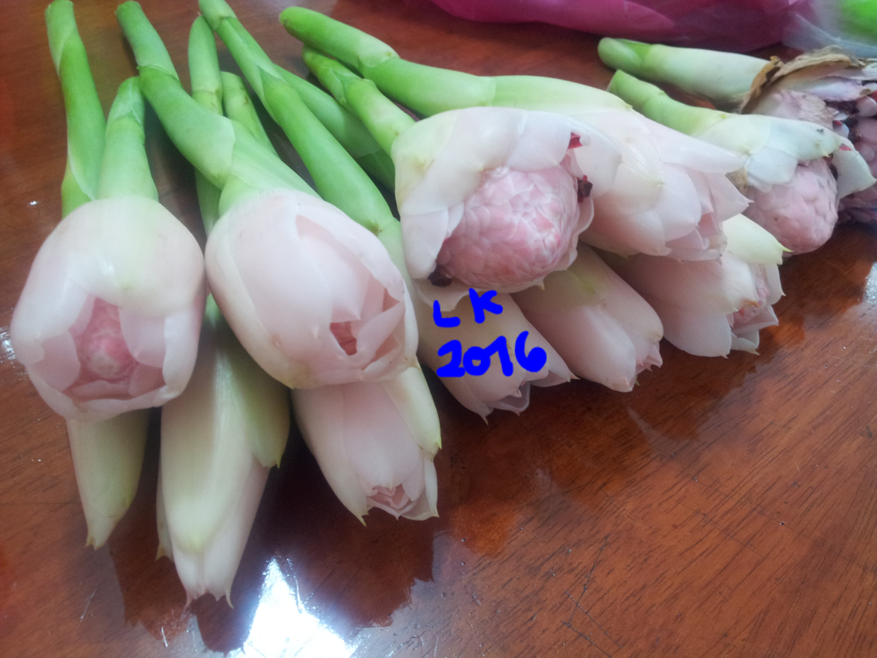 Tunas Brokoli