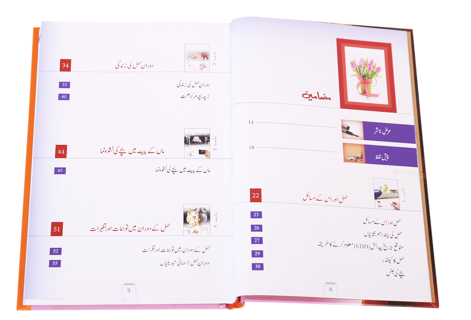 Agar Aap Maa Banny Wali Hein - Image 3