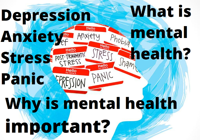 Mental Health Facts-Why is mental health important?