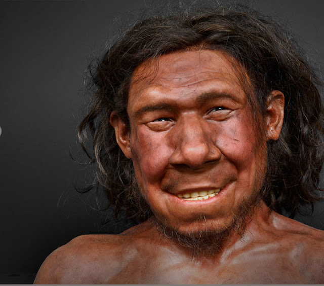 Неандерталец Krijn