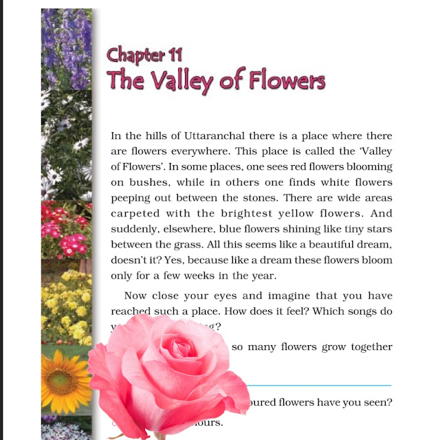 The Valley of Flowers Class 4 EVS Chapter 11