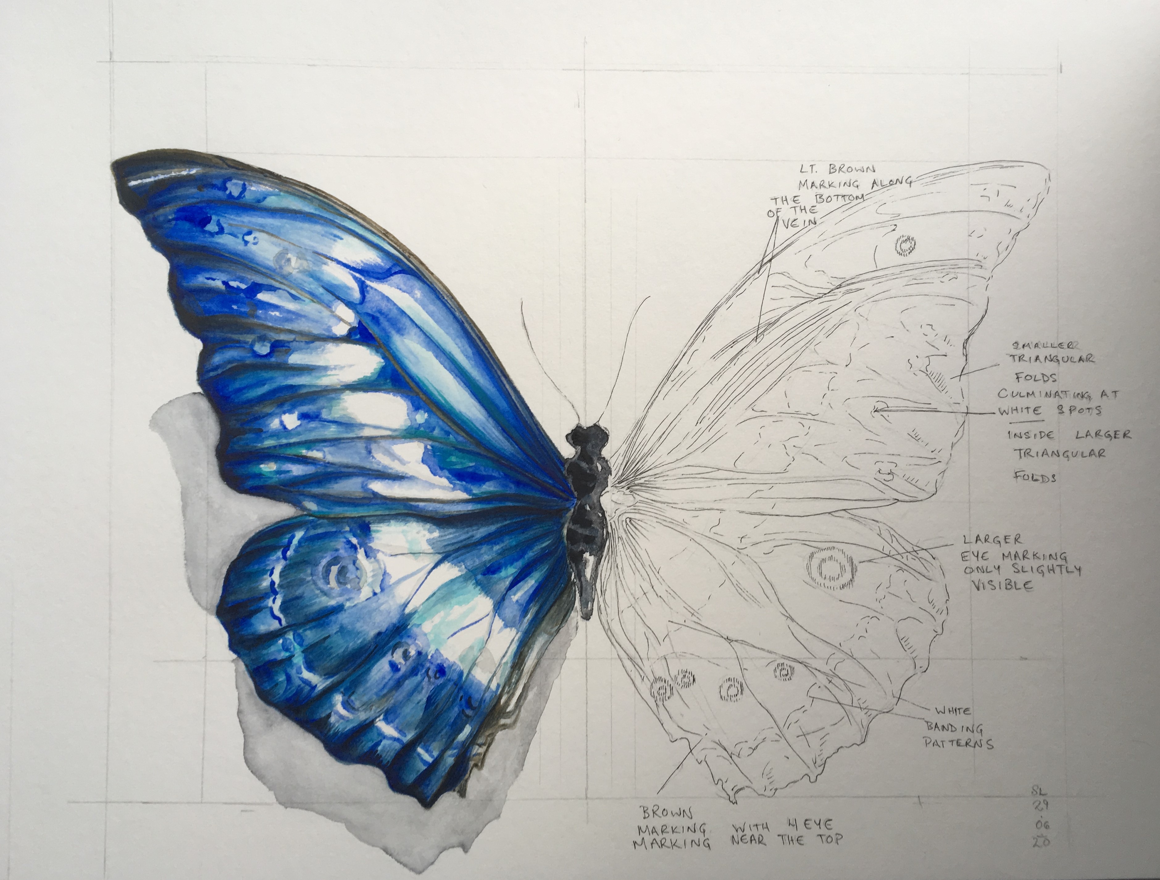 Butterfly - step by step process pictures