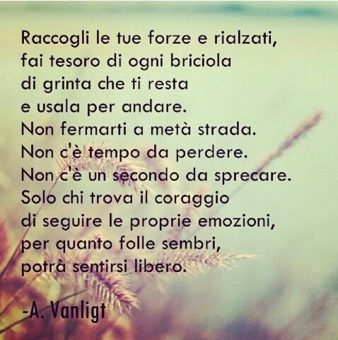1 Belle Famose Citazioni Frasi Sulla Vita Forza E Coraggio
