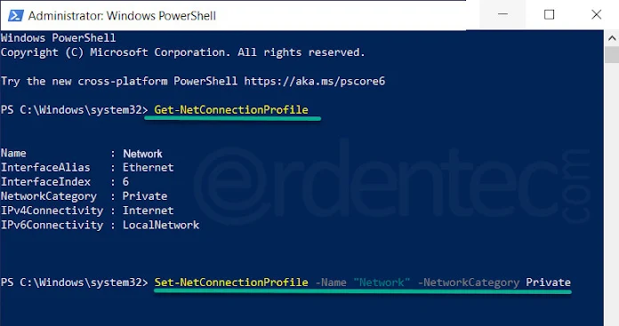 Change Network profile with PowerShell