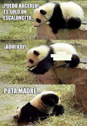 imagenes tipo todo vienen lindo fue pero mejor lo