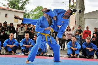 11e ciseau vovinam viet vo dao Auterive Toulouse