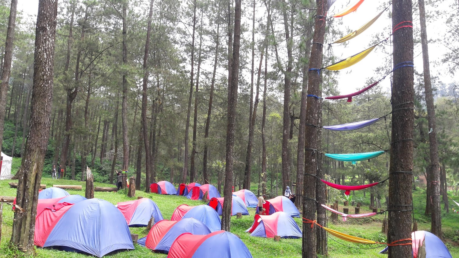 Maret 2016 - Feti Habsari