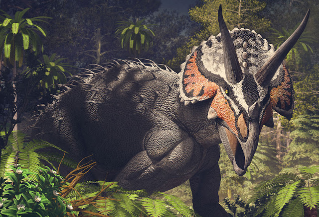 Triceratops horridus, Cover of Armored Dinosaurs volume