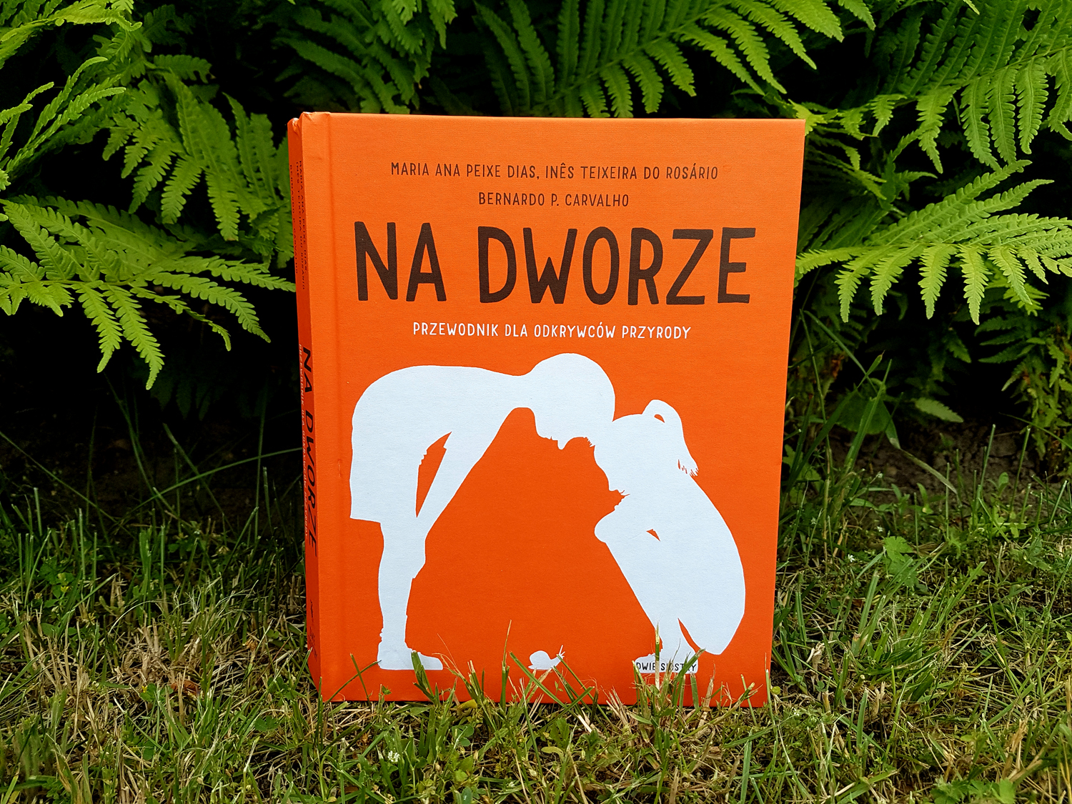 Scharakteryzuj Zachowanie świętego Podczas Drugiego Pobytu Na Dworze Ojca Nasze Bąbelkowo. Macierzyństwo. Miłość. Adopcja. : "Na dworze
