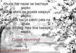 gd mrng shayari in hindi