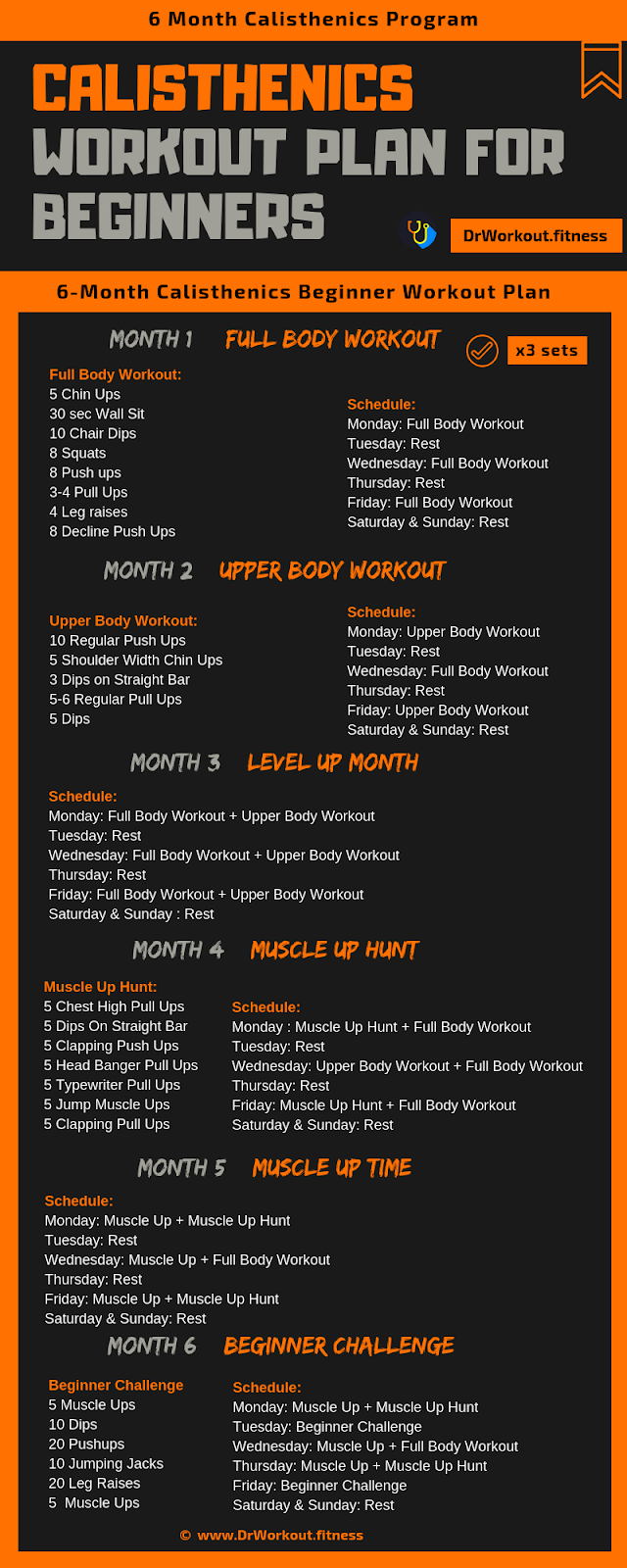 Calisthenics Workout Plan For Beginners 6 Month Calisthenics Program 