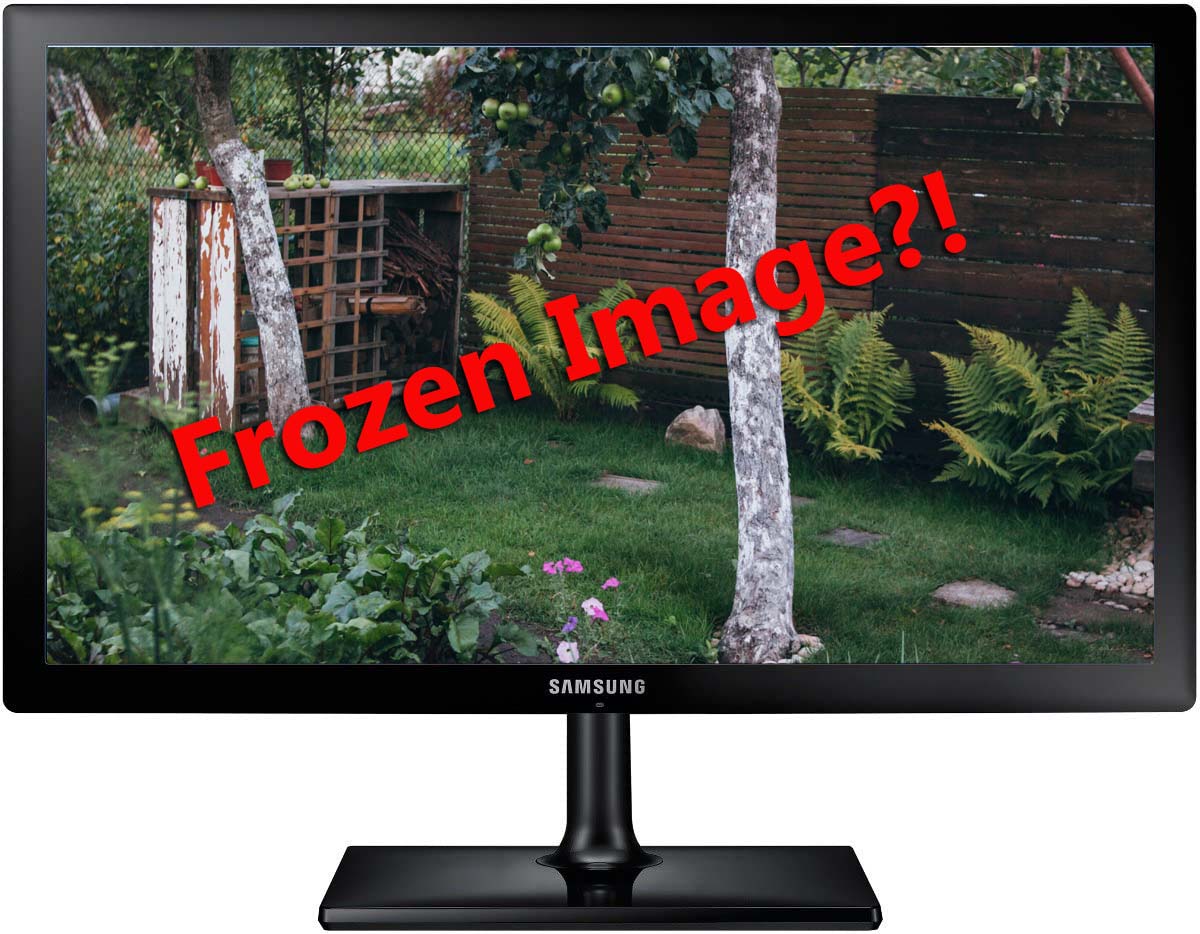 Frozen Security Cameras