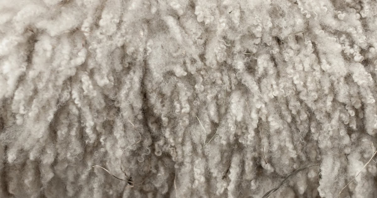 Production of Wool fiber Manufacturing process fiber makinggoat fabric