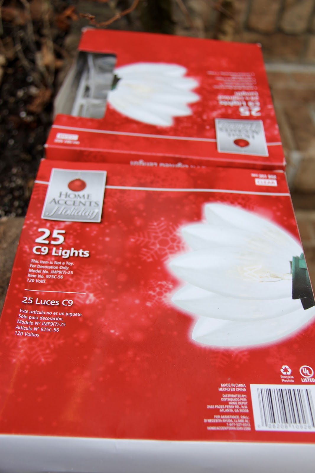 Tropical Gardening in New York City! How I Protect my Hardy Palm Trees in Zone 7, New York City