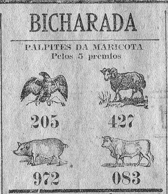 Fernando Nandé: O próspero jogo do bicho no Paraná