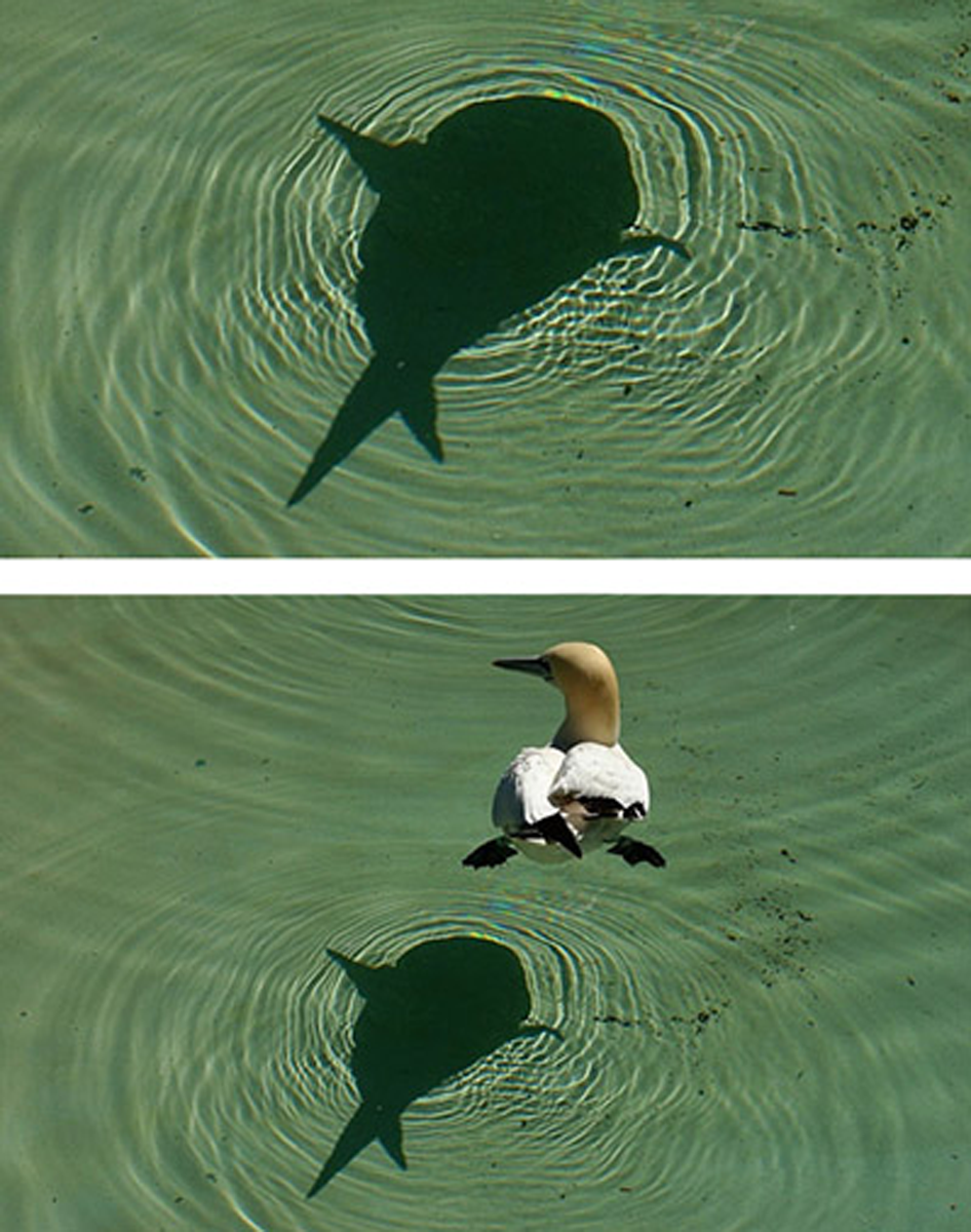 48+ Gambar Pemandangan Yang Mempunyai Makna