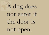 A dog does not enter if the door is not open.