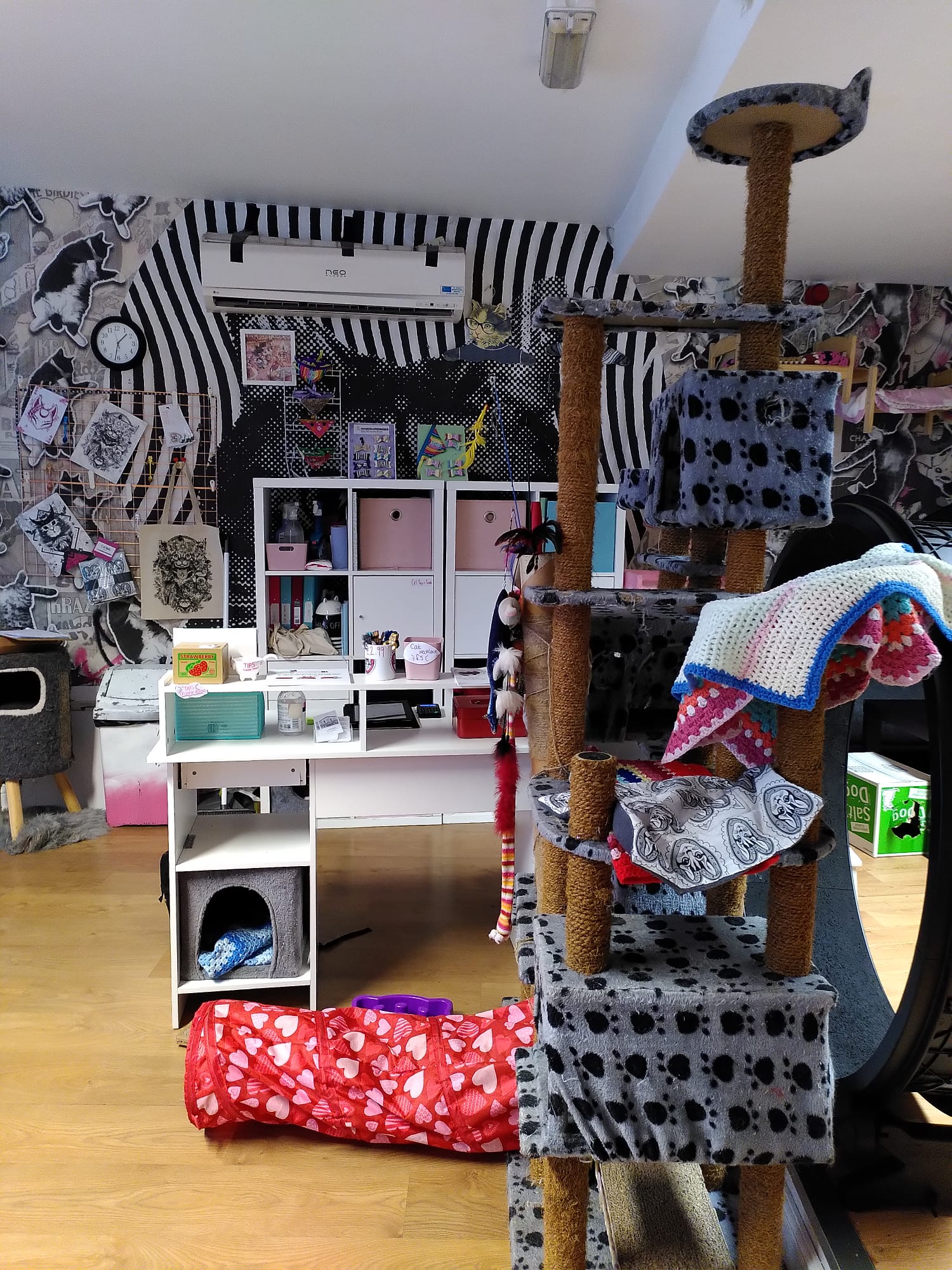 Mog on the Tyne Newcastle Cat Cafe Review North East Family Fun