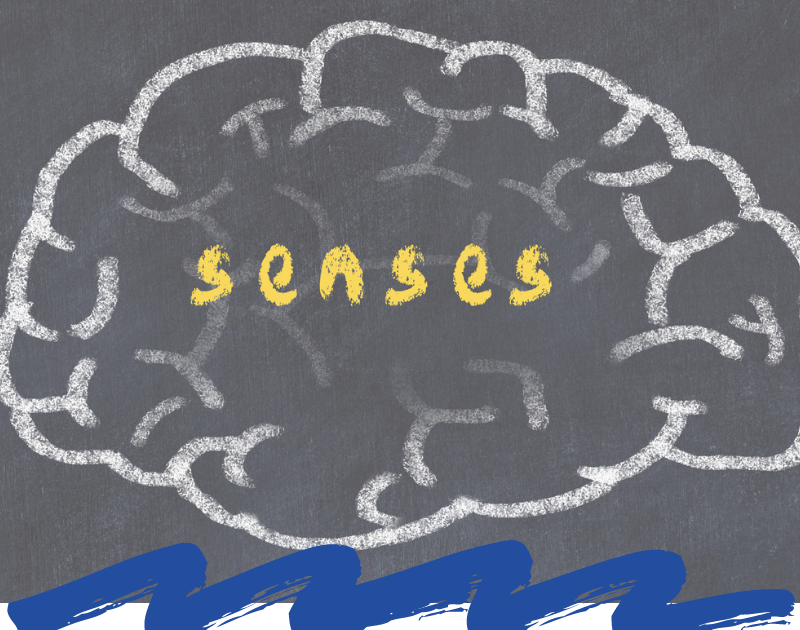 What Are The 8 Sensory Systems Your 8 Senses Explained And Next what-are-the-8-sensory-systems-your-8-senses-explained-and-next
