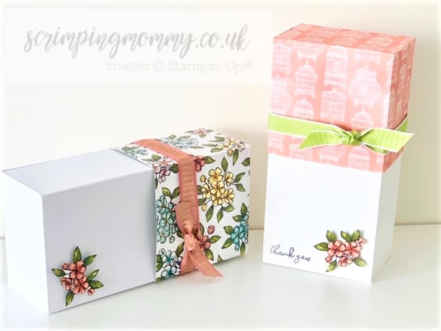 Scrimpingmommy Bird Ballad Easy Tall Gift Box