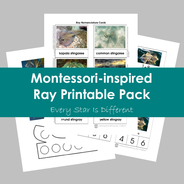 Ray Printable Pack
