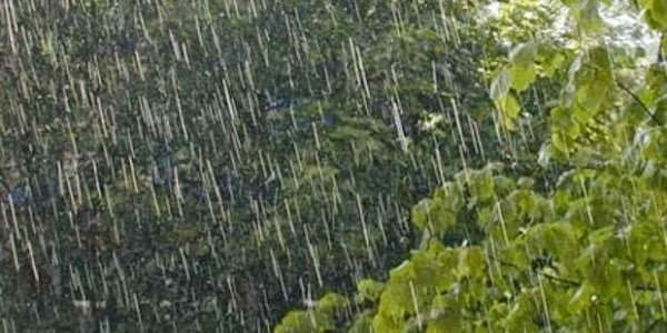 ANM: Informare meteorologică de ploi şi vânt puternic pentru miercuri şi joi