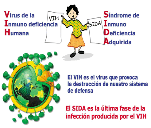 diferenciar entre bacterias, virus y parásitos diferenciar entre bacterias, virus y parásitos