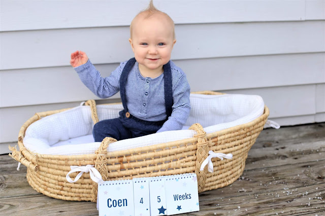 weekly baby photo ideas