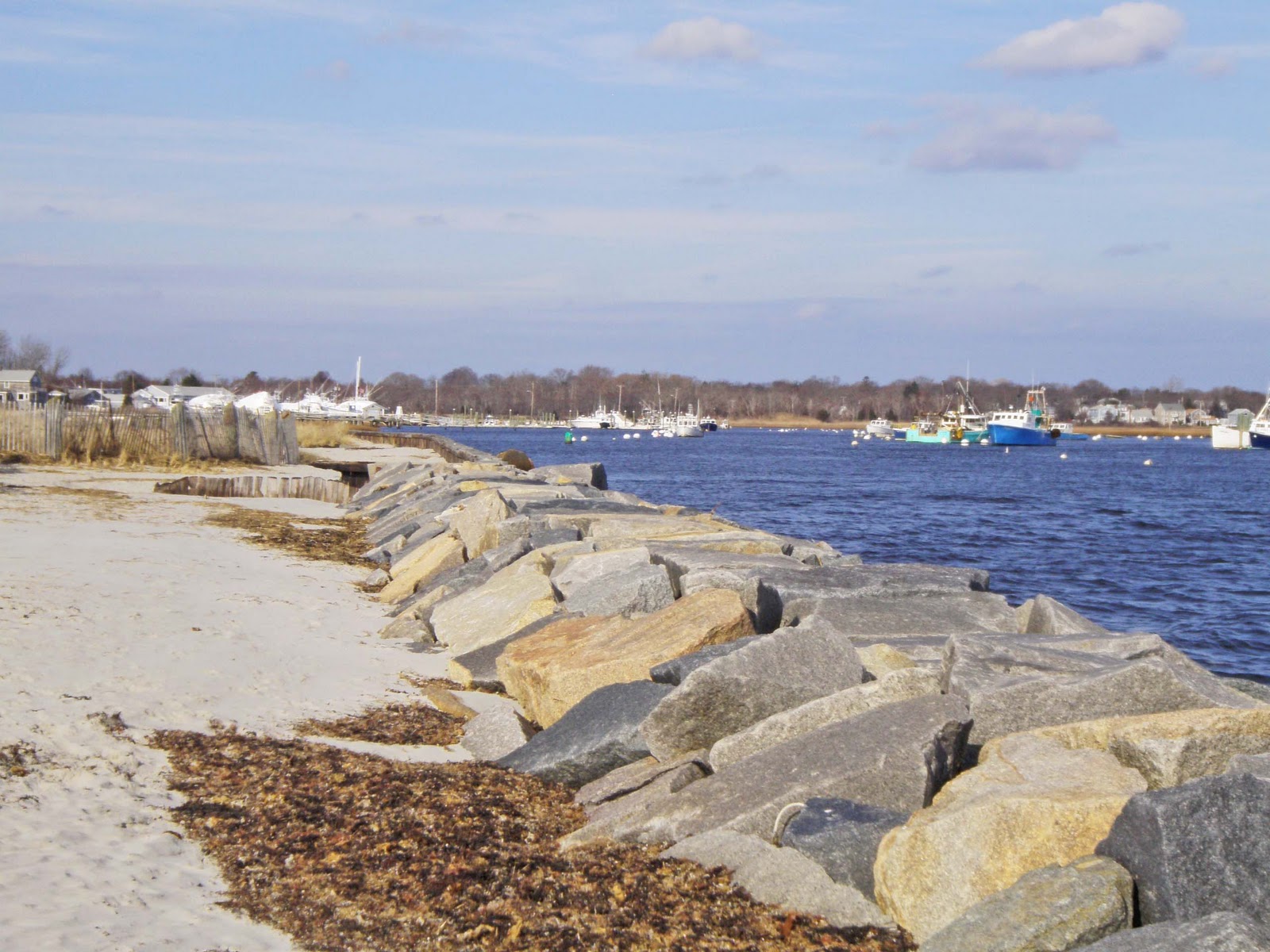 Morning Dew Duxbury Beach and Marshfield Beach
