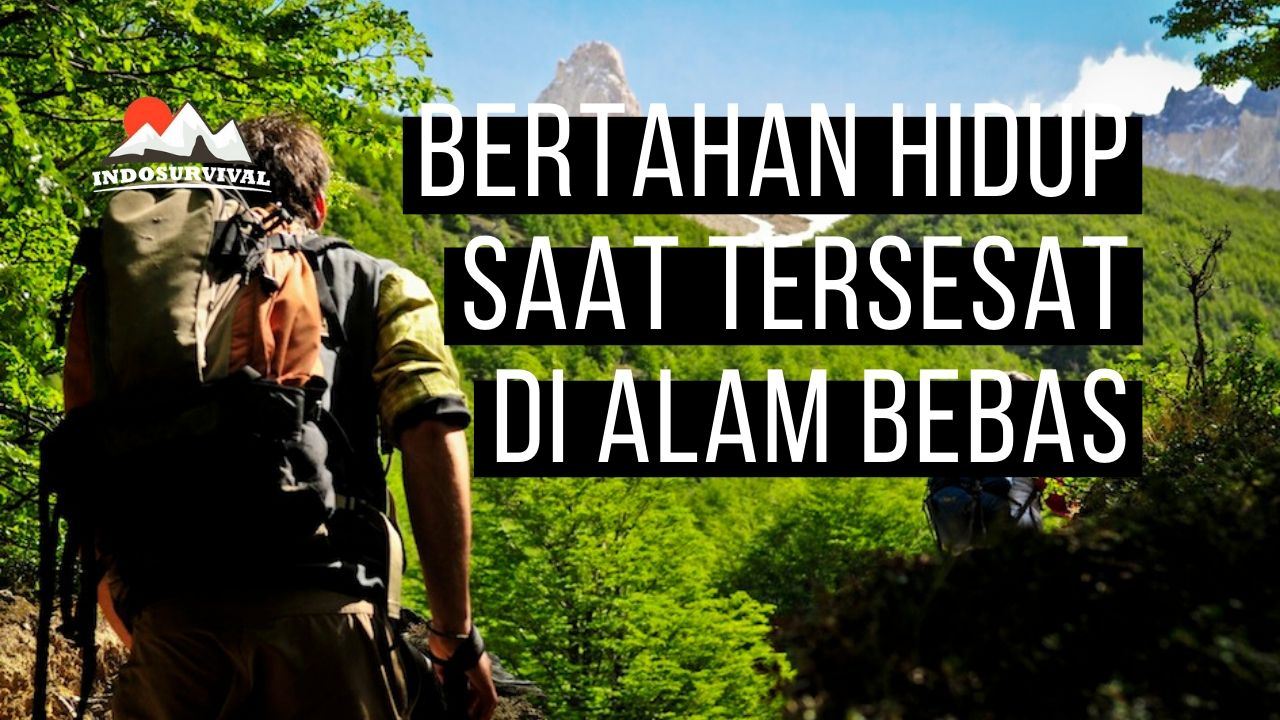 Cara Bertahan Hidup Saat Tersesat di Alam Bebas