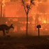 24 pessoas são presas na Austrália por incêndios propositais na vegetação