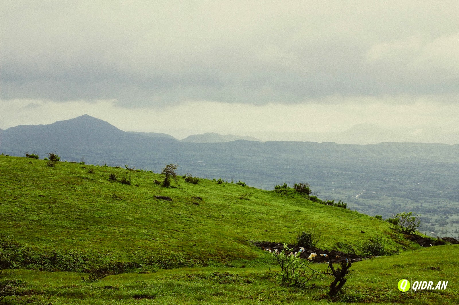 qidr.an © Kas Pathar August 2014