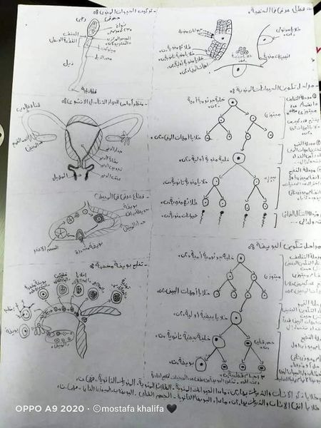 مراجعة كل رسومات مادة الأحياء للصف الثالث الثانوى  0%2B%25282%2529