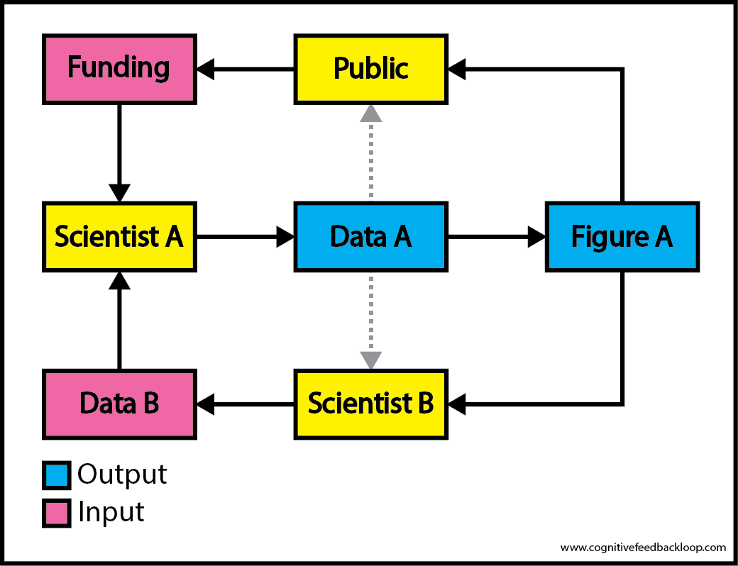 Cognitive Feedback Loop: Evolution From Blog to Website