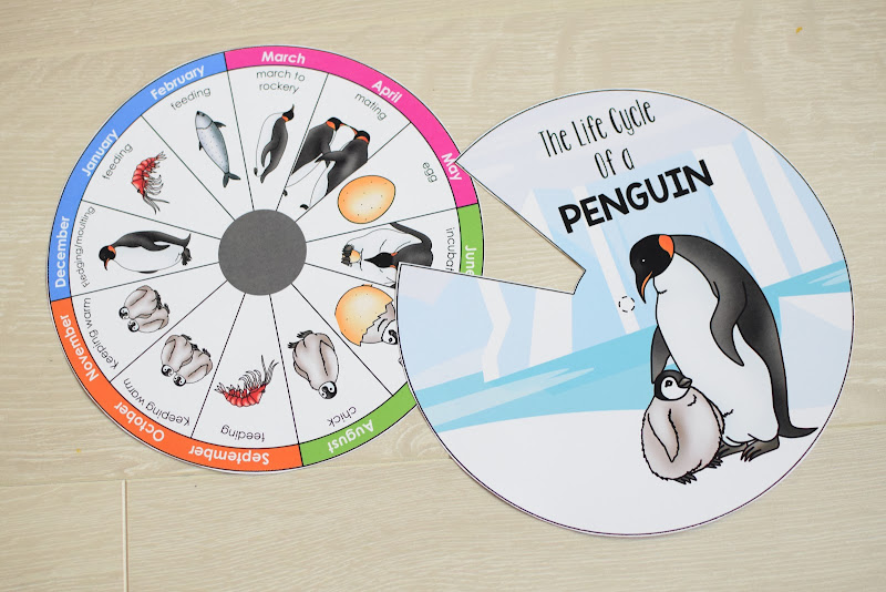 Winter Animals Annual Life Cycle Wheel