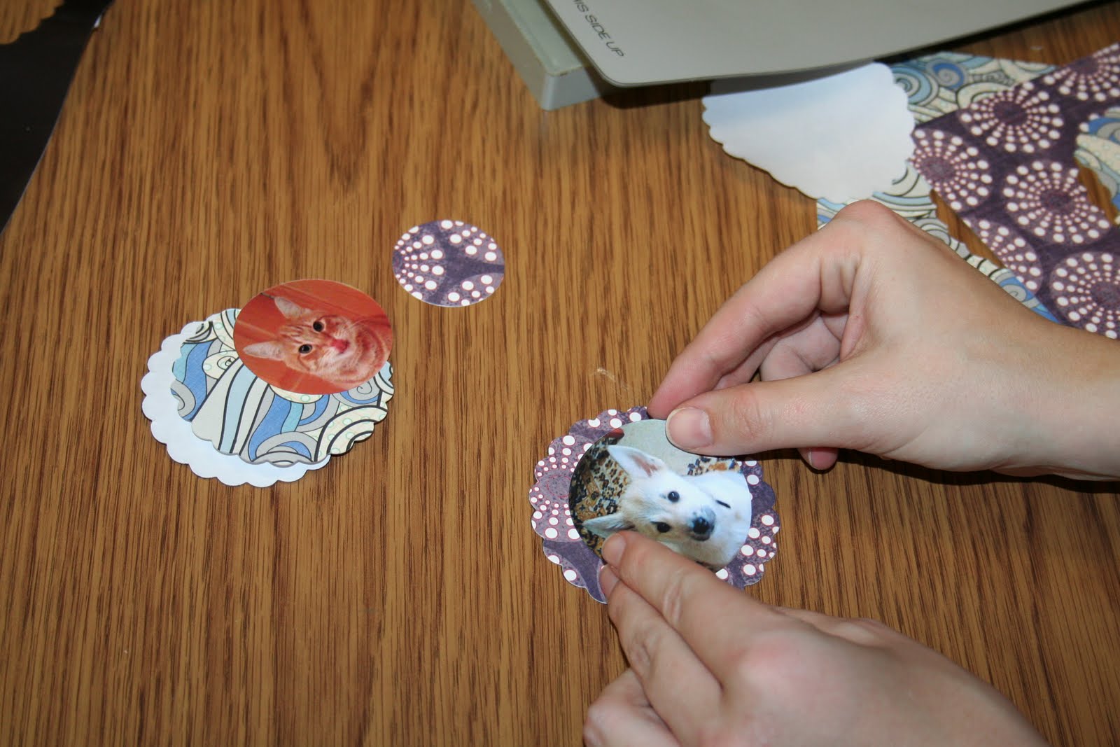 Paper Zone inspire.design.create Fun with Die Cuts &