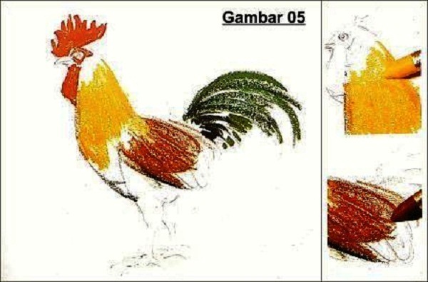 Panduan Praktis Mewarnai Gambar Krayon Ayam Jago