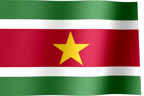 Как выглядит флаг suriname
