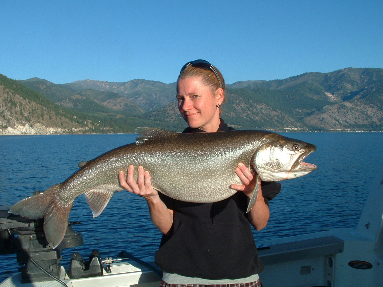 northwest-salmon-and-steelhead-fishing-nice-lake-chelan-lake-trout